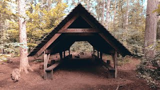 Wandern im Rantzauer Forst [upl. by Tressia]