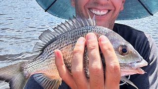 Bream Fishing In Australia Catch amp Cook [upl. by Yornoc868]