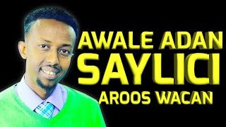 AWALE ADAN SAYLICI 2017 HD BEST SOMALI MUSIC [upl. by Emerson]