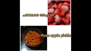 Chambakka achaarചാമ്പക്ക അച്ചാർ rose apple pickle [upl. by Lamahj]