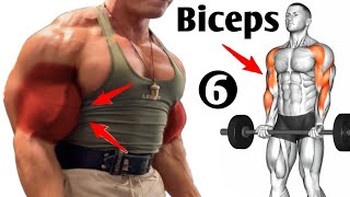 6 Best Exercises To Get Big Biceps Workout Gym  Bicep Workout [upl. by Tavish]