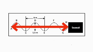 Transverse amp Longitudinal Waves Grade 10 Physics Introduction [upl. by Latrell]