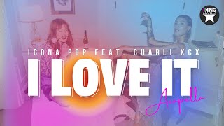 Icona Pop Charli XCX  I Love It Studio Acapella [upl. by Denyse]