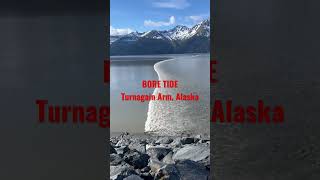 Bore tide Turnagain Arm Alaska [upl. by Uriia]