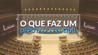 O QUE FAZ UM DEPUTADO FEDERAL [upl. by Laris]