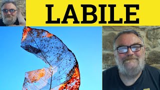 🔵 Labile Meaning  Labile Definition  Lability Examples  Formal Vocabulary  Labile  Lability [upl. by Bern777]