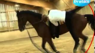 Equestrian Vaulting  How to do a vaulton at a canter [upl. by Christopher]