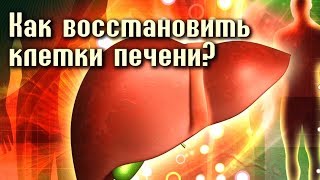 Препараты для Восстановления ПЕЧЕНИ [upl. by Oniuqa902]