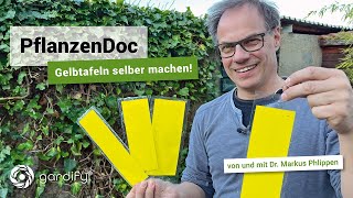 PflanzenDoc DIY Gelbtafeln gegen Insekten selber machen  gardify Tipps [upl. by Yvette]