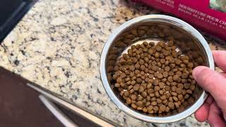 Fromm Puppy Gold Premium Dry Dog Food Review [upl. by Ahsiekal]