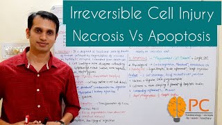 Irreversible Cell Injury or Cell Death Pathology  Necrosis Vs Apoptosis [upl. by Revert]