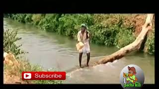 Vadivel comedy  Pacha kili  Mothala  Maanasthan [upl. by Ronnie478]