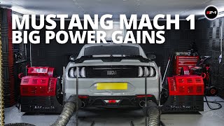 Mustang Mach 1 Dyno Tuning  500BHP [upl. by Naujed]