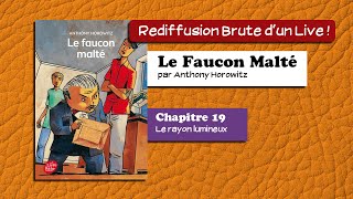 🔴📙🔊 Le Faucon Malté 19  Un rayon lumineux  Livre Audio [upl. by Einotna]