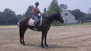 Lesson 6 How to develop Core Strength and how to do sitting trot [upl. by Trinl]