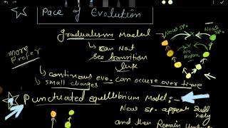 Evolution gradualism and punctuated equilibrium model  pace of evolution csir net [upl. by Rebmyt]