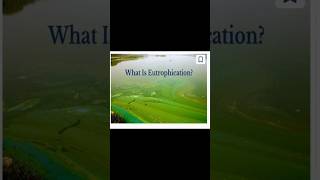 EUTROPHICATION IN DETAIL [upl. by Takken907]