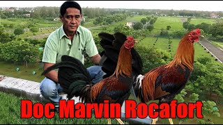 Lets Visit The Farm Of Doc Marvin Rocafort [upl. by Birkle]