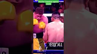 canelo against puncher superfight boxing shortvideo highlights knockoutfight [upl. by Asserak]