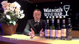 WineTV  Chateau HautBrion [upl. by Aw]