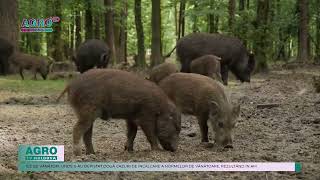 AMENZI PENTRU ÎNCĂLCĂRI ECOLOGICE [upl. by Augy267]