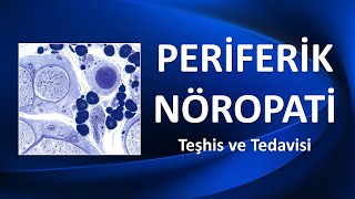 PERÄ°FERÄ°K NÃ–ROPATÄ° TeÅŸhis ve Tedavisi [upl. by Morra]