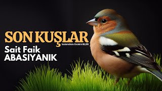 Sesli Hikâye  Son Kuşlar  Sait Faik ABASIYANIK Seslendiren  İbrahim BİLDİR [upl. by Shandee]