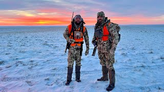 SelfGuided Montana Mule Deer Rifle Hunt on BLM Public Ground [upl. by Aihcrop160]