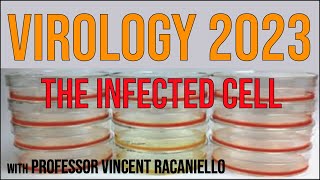 Virology Lectures 2023 11 The infected cell [upl. by Aniri42]