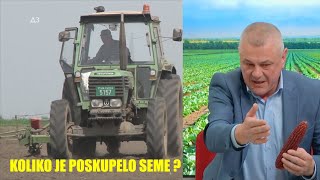 POSKUPLJENJE SEMENA KUKURUZA pred setvu  KO JE NAJMANJE DIGAO CENE i koliko je skuplje [upl. by Naletak]