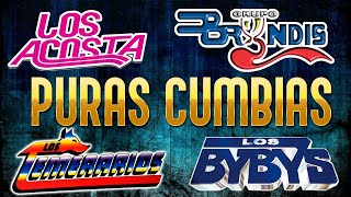 Megamix CUMBIA Lo Mejor De Los Bybys Grupo Bryndis Guardianes Del Amor Los Acosta Y Mas [upl. by Tehc]