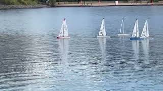 Race 7 PRYC Scratch Club Racing… Practice for Australian Championship [upl. by Ramedlav]