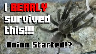 SPY Reacts Watering My Tarantulas Part 6 [upl. by Lunseth]