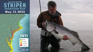 Stripers on Bucktails with John Skinner  Striper Season Update Ep 33 [upl. by Ciccia]