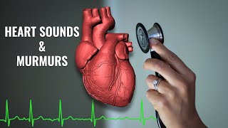 Heart Sounds and Heart Murmurs  3 easy steps on how to identify a heart murmur  Christina NP [upl. by Morehouse]