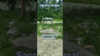 Cementerio de Animales Sagrado 🙏🇺🇸 indiana usa animals sacred cementerio mexico shorts [upl. by Danna765]