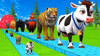 Paint amp Animals CowGorillaElephantGiraffeTigerLion Fountain Crossing Transformation Cartoon [upl. by Lenroc]