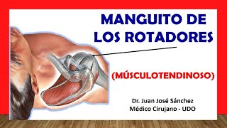 🥇 Anatomía del MANGUITO ROTADOR Fácil y Rápida [upl. by Neroled]