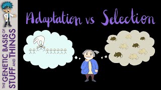 Adaptation vs selection What YOU need to know about exaptation [upl. by Nwahc]