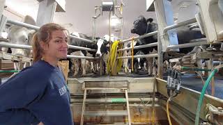 Small dairy farm tour in Saskatchewan [upl. by Shirah]