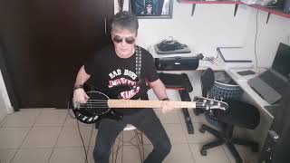 Dont Walk Away Bass Cover Danger Danger [upl. by Nylinej]