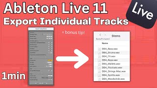 How To Export Individual Tracks Ableton Live 11 1 Minute Tutorial [upl. by Lorenza18]