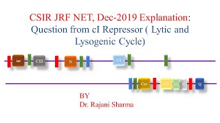 CSIR JRF NET Dec2019 Explanation Question from cI Repressor  Lytic and Lysogenic Cycle [upl. by Rayner]