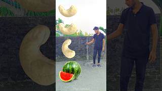 Rounding kaju badam to Grapes Mango lichi amp Watermelon  Fruits names magic video [upl. by Anuait]