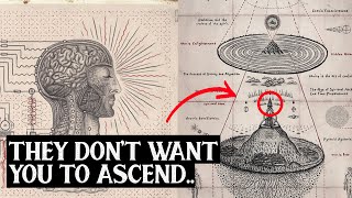 How to Know if Youre Ascending to The 5th Dimension  7 Signs You’re Shifting [upl. by Ymled]