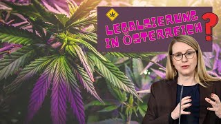 CannabisLegalisierung in Österreich Das sagt Ministerin Margarete Schramböck dazu [upl. by Krishnah817]