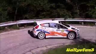 Rally Piancavallo 2016 Action [upl. by Grannias]