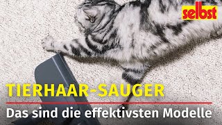 Staubsauger für Tierhaare Die effektivsten Modelle [upl. by Otrebogir]