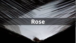 How to pronounce rose in English [upl. by Corvese248]