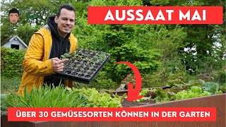 Gemüse Aussaat im Mai jetzt muss alles raus [upl. by Assanav]